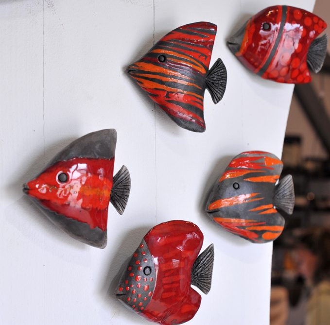 poissons rouge de 10 à 15cm